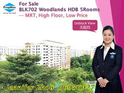 Blk 702 Woodlands Drive 40 (Woodlands), HDB 5 Rooms #138413752